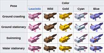 axolotl colors/variants in Minecraft