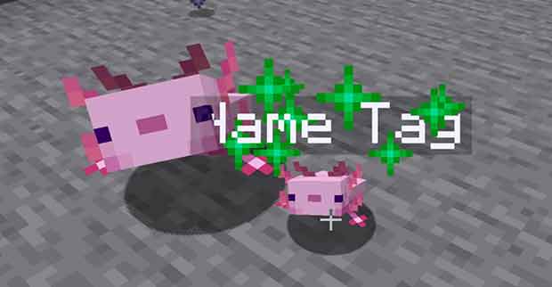 Baby axolotl growing up in Minecraft