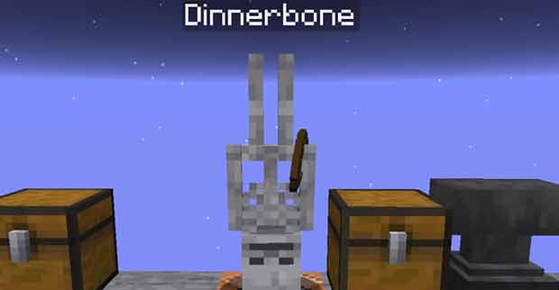 Dinnerbone and Grumm Name Tag Easter Egg