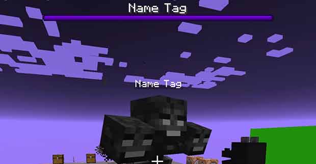 Named Wither Boss