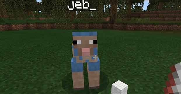 Sheared jeb_ rainbow sheep