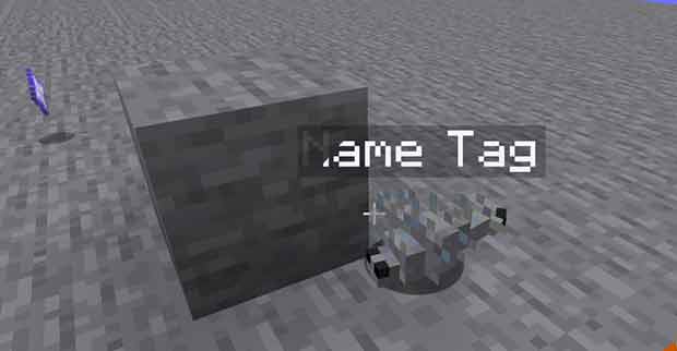 Named Silverfish Minecraft