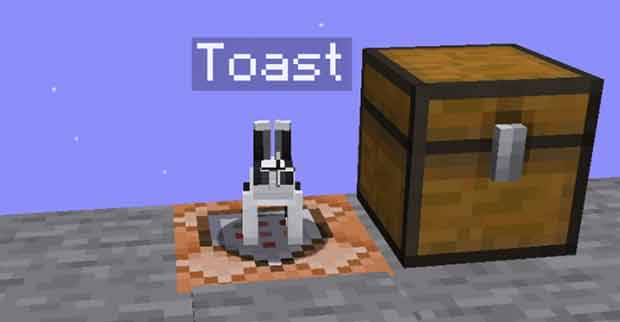 Toast bunny secret texture in Minecraft