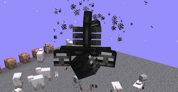 Upside Down Wither Boss Dinnerbone